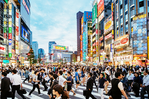 Zebra crossing in Shinjuku, Tokyo at sunset.